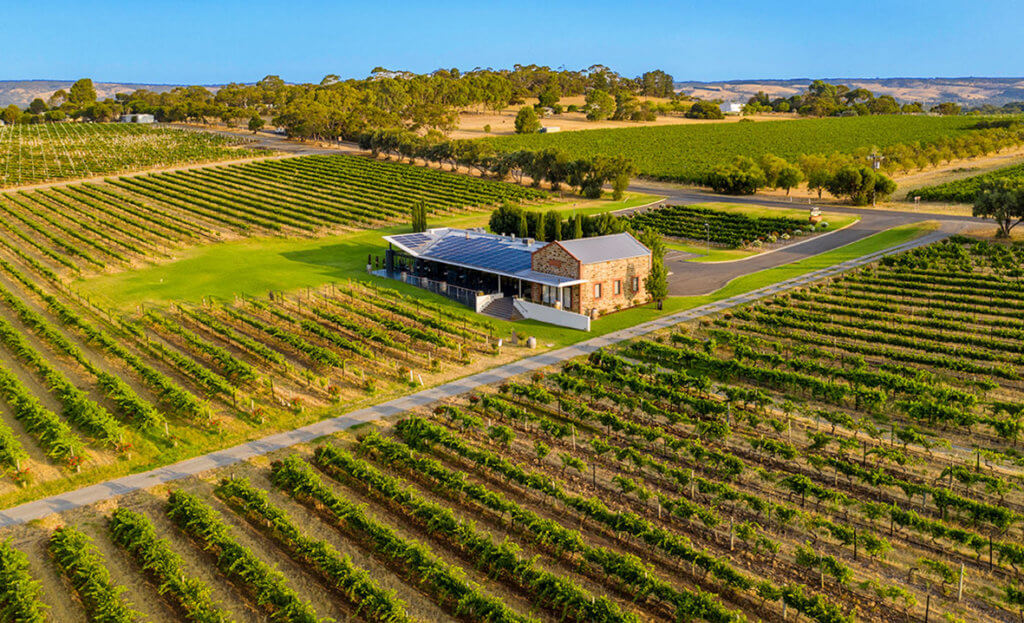 Wine Growers Exit Industry Amid China Tariffs