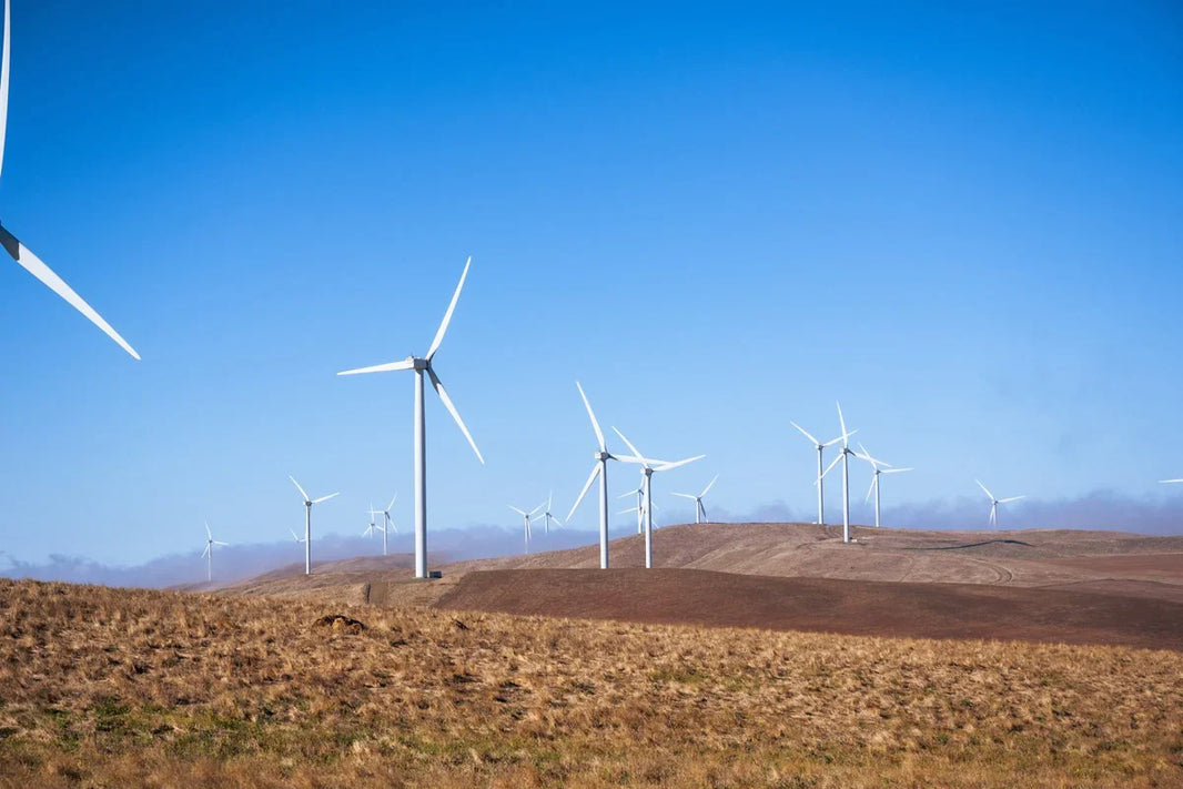 AGL Ups Renewable Target Amid Tough Loss
