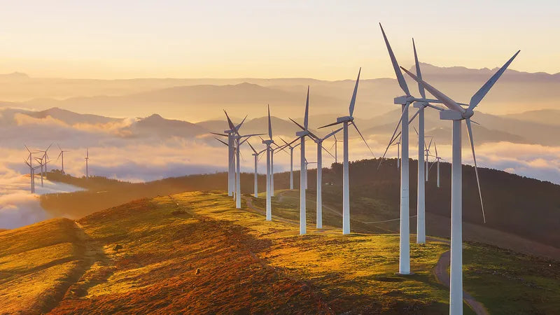 Foreign Investment Barriers Risk Australia’s Climate Goals
