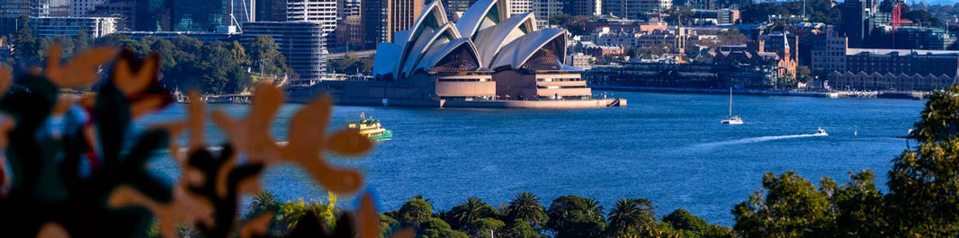 Sydney Opera House and the harbour with office towers behind