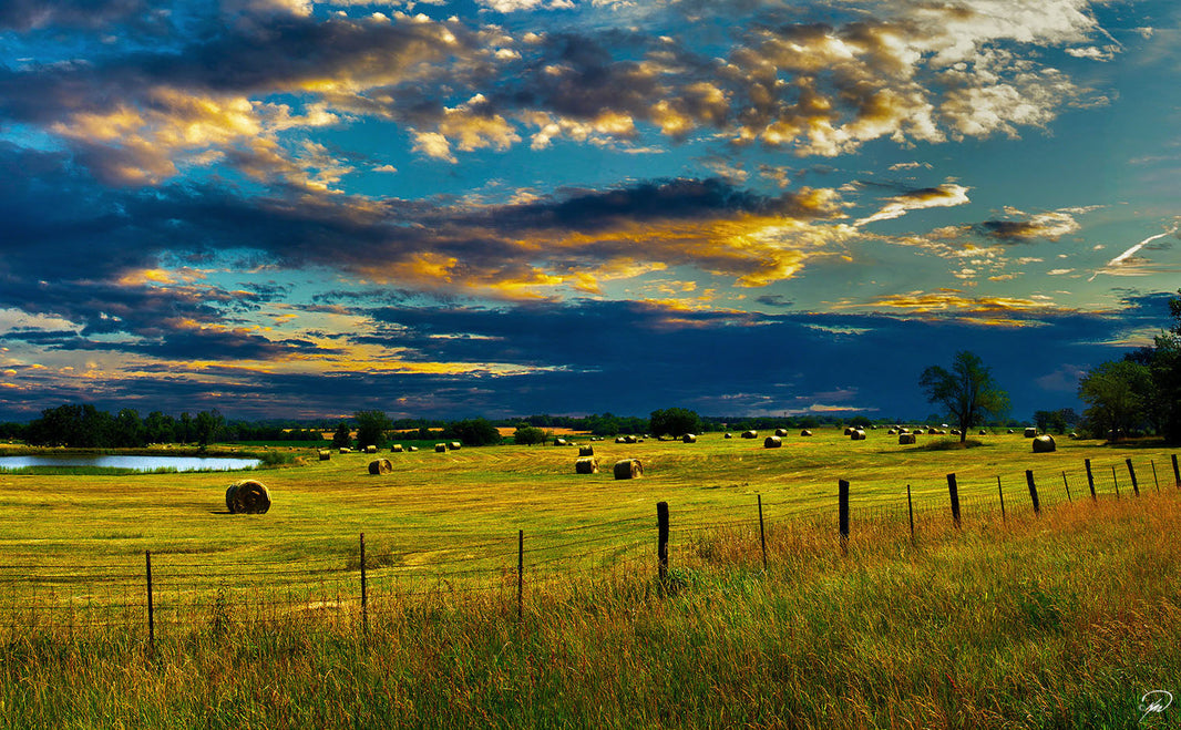 Cattle Prices Reach 3-Year High Following Wet Winter