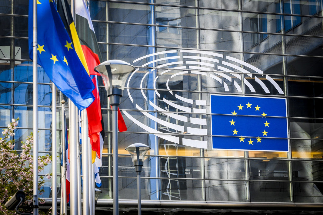AI Regulations Spark Debate in the EU Parliament