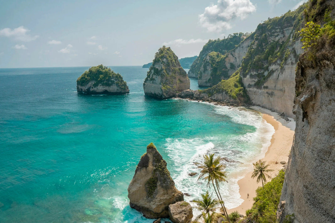 Christmas Travel Bookings Soar on Cheap Flights
