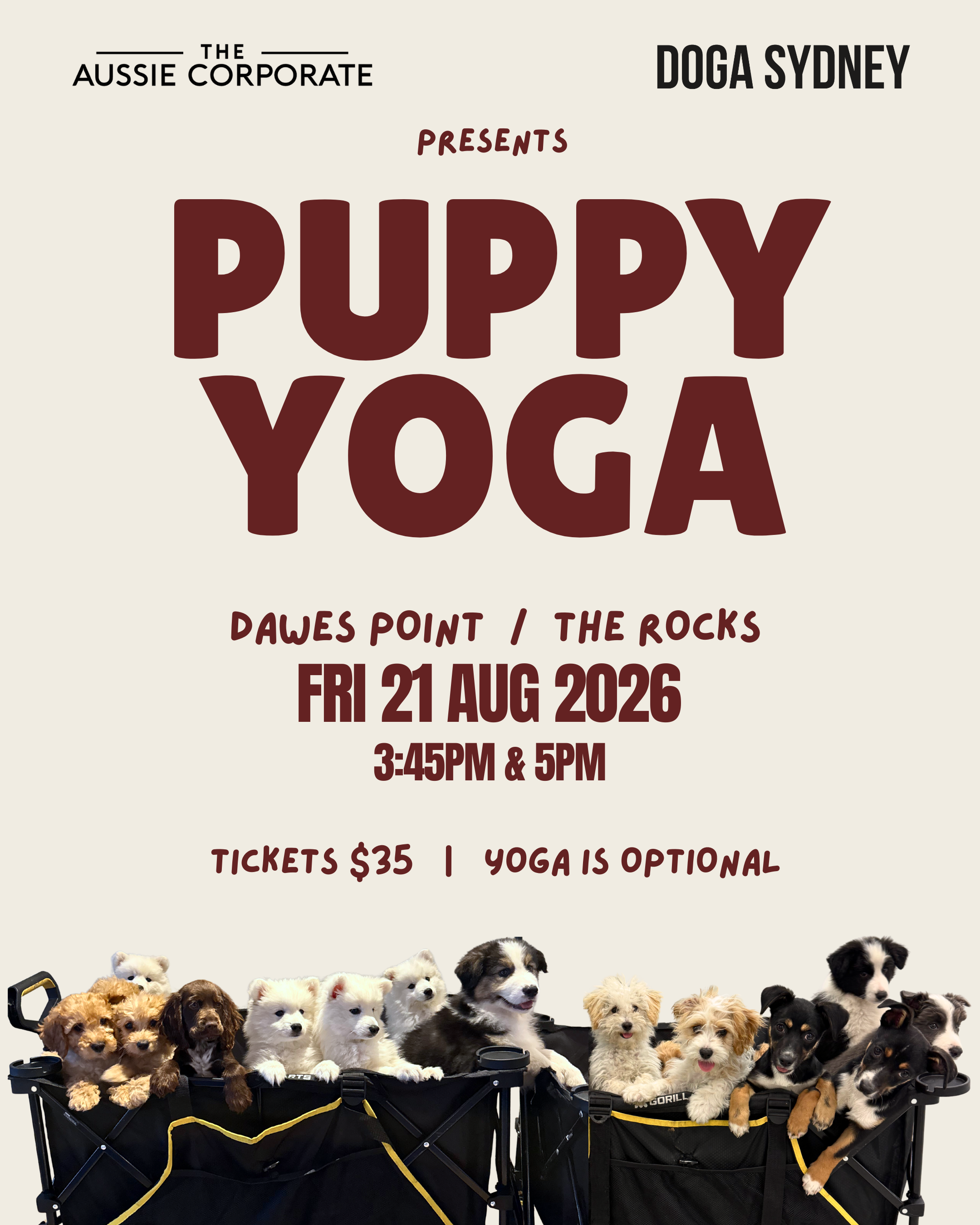 AusCorp Puppy Yoga x Doga Sydney