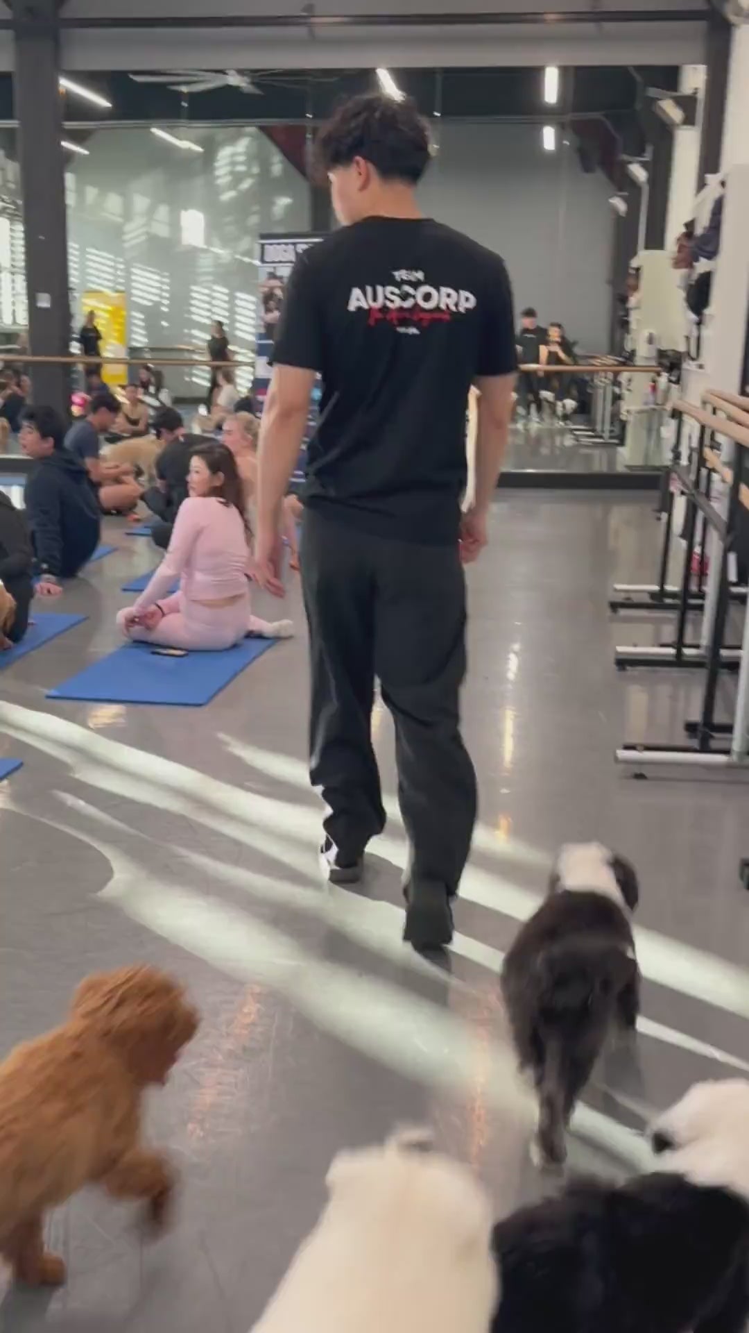 Attendees at an AusCorp puppy yoga class with puppies, run with Doga Sydney