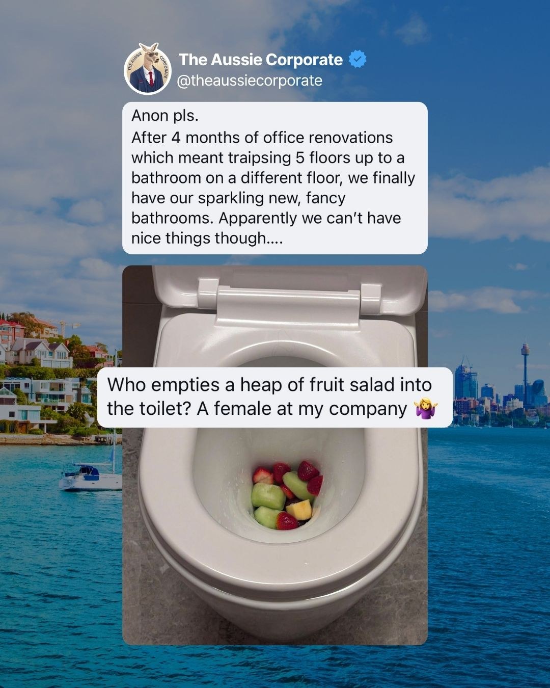 A community submission posted by The Aussie Corporate: after four months of office renovations, someone emptied a heap of fruit salad into one of the new toilets.
